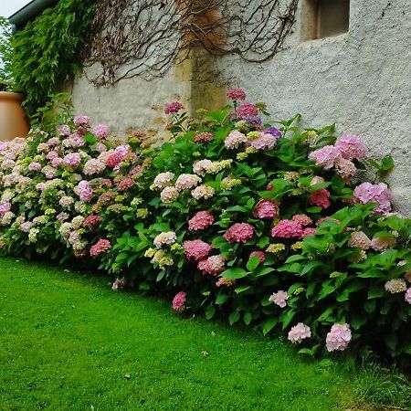 Bed and Breakfast Le Charbonnet Anzy-le-Duc Exterior foto