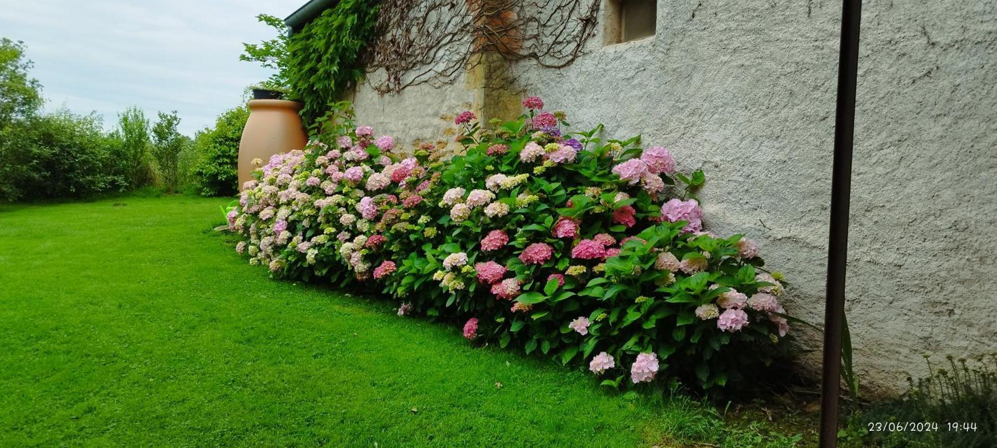 Bed and Breakfast Le Charbonnet Anzy-le-Duc Exterior foto